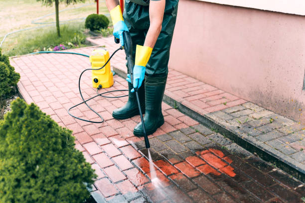 Best Deck Cleaning Services  in Shenandoah, PA