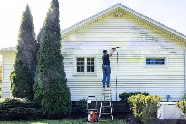 Best Sidewalk Pressure Washing  in Shenandoah, PA