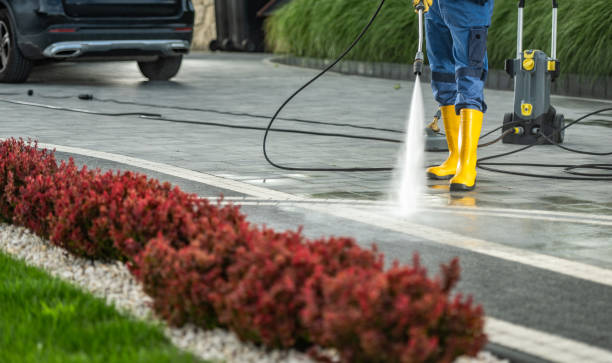 Best Pressure Washing Driveway  in Shenandoah, PA