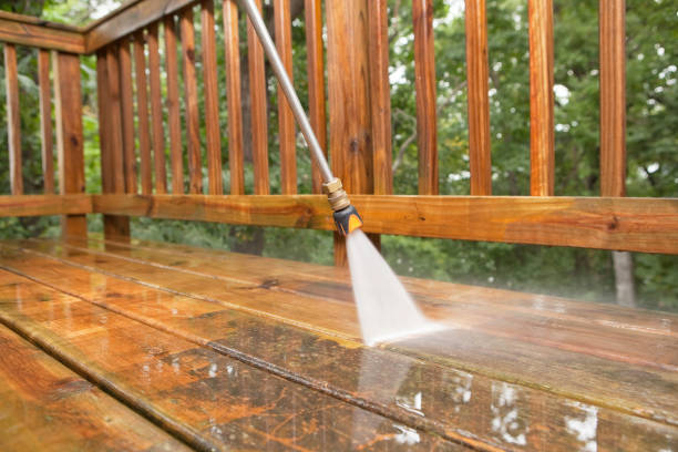 Best Concrete Pressure Washing  in Shenandoah, PA