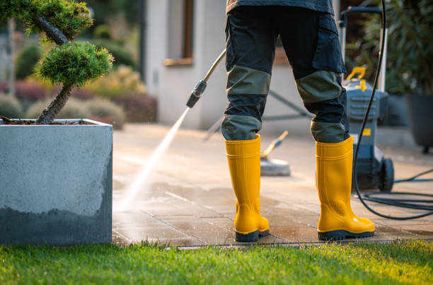 Best Residential Pressure Washing Services  in Shenandoah, PA